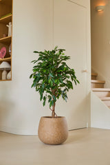 Una pianta artificiale di Ficus Green di 120 cm con foglie verdi lucide si erge su un pavimento chiaro in una stanza moderna e minimalista, vicino ad una scala in legno e mensole decorate con oggetti decorativi.
