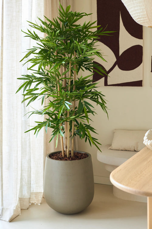La pianta artificiale di bambù da 150 cm, con foglie verdi lussureggianti, è posizionata all'interno vicino a una finestra con tende, accanto a un divano beige con un cuscino e quadri astratti in una stanza moderna decorata in toni neutri.