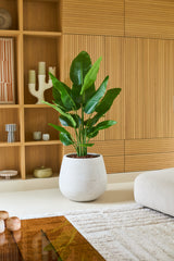 Una grande pianta artificiale Strelitzia Real Touch Deluxe da 150 cm in una fioriera bianca si trova su un pavimento chiaro in un soggiorno moderno con pannelli in legno, mensole e un arredamento dai toni neutri, conferendo a questo spazio raffinato un aspetto elegante e realistico.