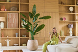 Una donna vestita di verde è seduta su un divano beige con un drink in mano, accanto a lei la pianta artificiale Strelitzia Nicolai Deluxe 210 cm e sullo sfondo scaffali in legno con oggetti decorativi.