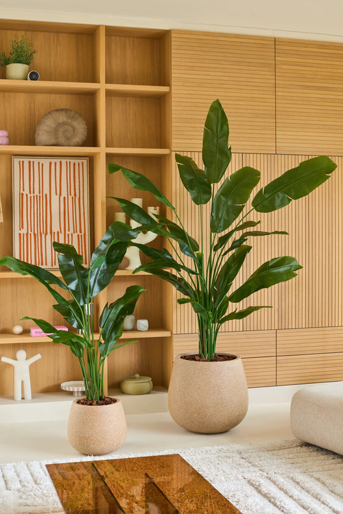Due piante in vaso verdi con foglie lunghe e lucide - tra cui una pianta artificiale Strelitzia Nicolai Deluxe di 210 cm - sono collocate in fioriere beige in un soggiorno moderno con scaffali e armadi in legno sullo sfondo, creando l'aspetto rigoglioso di una pianta tropicale artificiale.