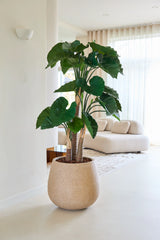 La pianta artificiale Alocasia da 150 cm, con ampie foglie verdi, si trova in un vaso beige con struttura su fondo chiaro. Sullo sfondo, un divano color crema e tende bianche traslucide lasciano entrare la luce del sole.