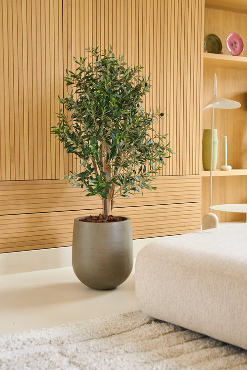 Una pianta di olivo artificiale 120 cm UV si trova su un pavimento chiaro accanto a un divano beige in una stanza moderna con pannelli in legno e scaffali minimalisti su cui sono esposti vasi e stoviglie. Si tratta di un ulivo che non richiede manutenzione e che si adatta perfettamente ad interni eleganti e che richiedono poca manutenzione.