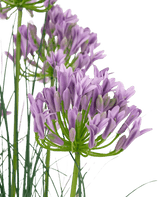 Erba artificiale viola Agapanthus onion grass vaso 90cm ignifugo