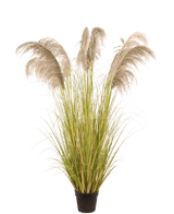 Erba della Pampa artificiale 170 cm
