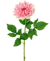 Finti Georgine Real Touch Rosa 70 cm