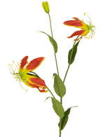 Fiore artificiale Gloriosa 81 cm rosso/giallo