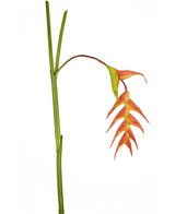 Fiore artificiale Heliconia 120 cm rosso