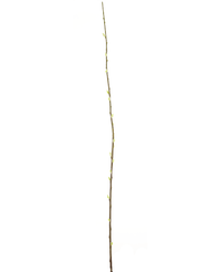Fiore artificiale Salix willow 150 cm