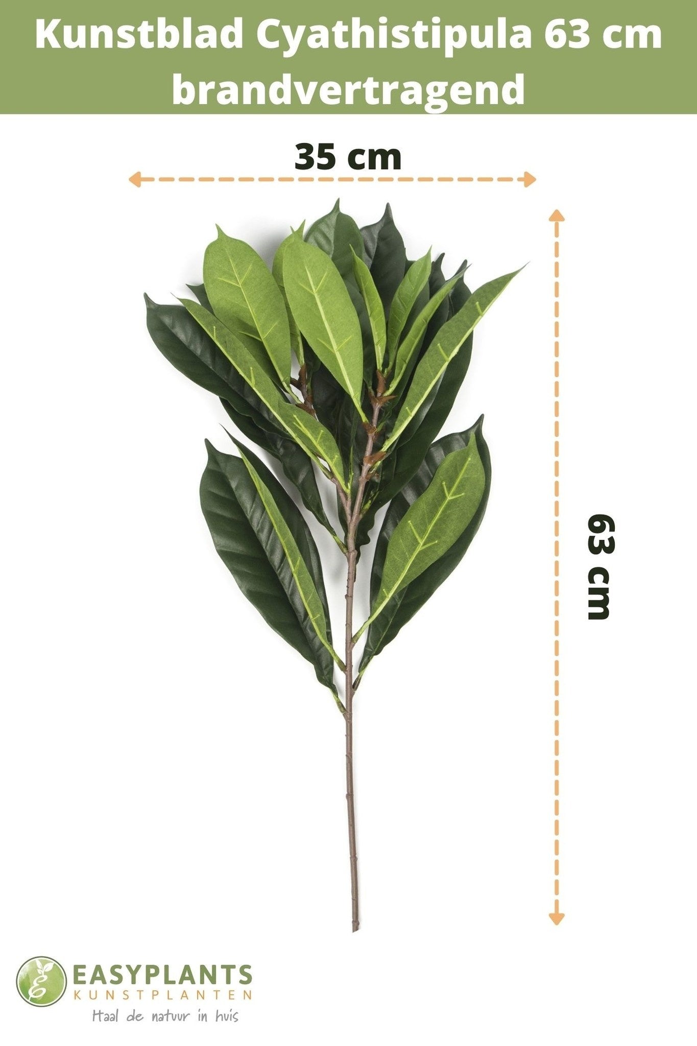 Foglia artificiale Cyathistipula 63 cm ignifuga
