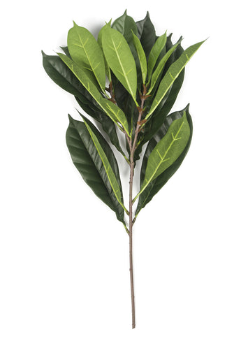Foglia artificiale Cyathistipula 63 cm ignifuga