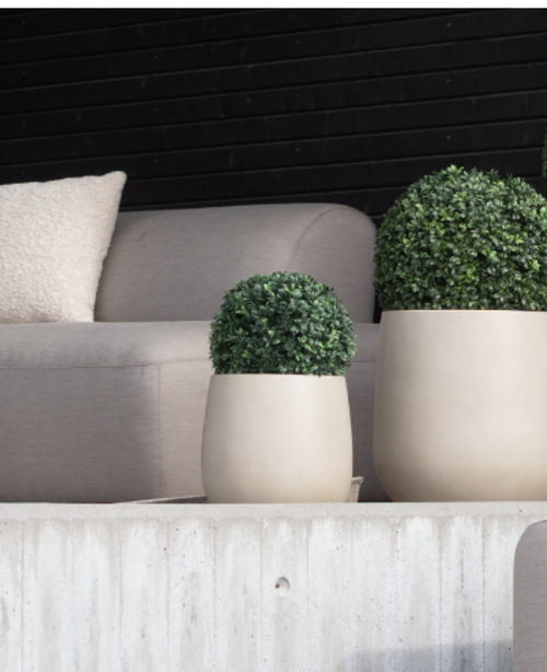 Una moderna area salotto da esterno con un divano grigio chiaro, un cuscino beige e due piante in vaso rotonde UV D30 cm in legno di bosso artificiale in stile romano su una sporgenza di cemento contro una parete a doghe orizzontali nere.