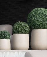 Tre alberi di arte topiaria artificiale in legno di bosso in stile romano UV D40 cm in fioriere beige sono allineati davanti a una parete di legno nero e sedie grigio chiaro.