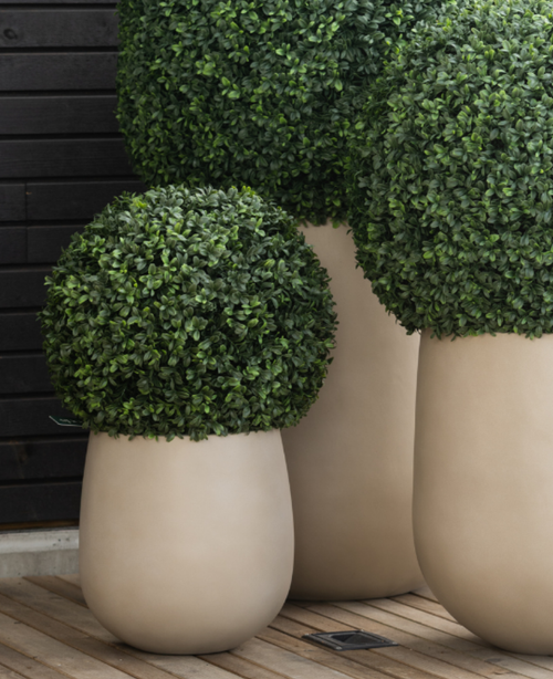 Tre fioriere artificiali in legno di bosso in stile romano UV D40 cm presentano arbusti verdi rotondi perfettamente potati. Stanno su una superficie di legno contro una parete rivestita di pannelli di legno scuro creando un display moderno e decorativo.