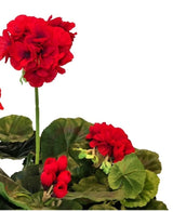Gerani finti 40 cm rosso