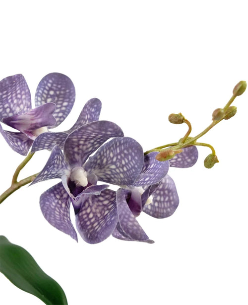 Un primo piano dell'orchidea viola artificiale Ascocenda da 50 cm mostra petali viola con macchie bianche, fiori multipli e boccioli verdi su uno stelo sottile su uno sfondo bianco.