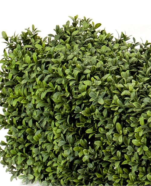 La siepe di bosso artificiale UV 100x20x25 cm ha un fitto tappeto quadrato di foglie di bosso artificiale in diverse tonalità di verde su uno sfondo bianco.