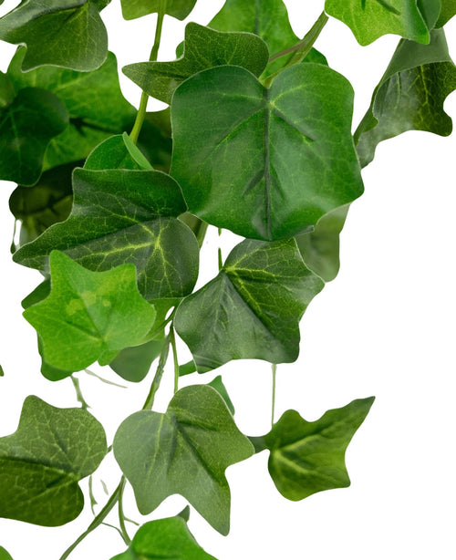 Un primo piano di edera artificiale verde di 70 cm, con diverse foglie di edera verde sovrapposte con venature visibili, pendenti su uno sfondo bianco.
