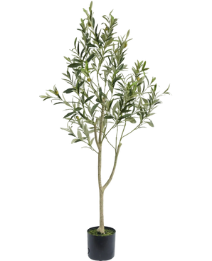 L'Ulivo Artificiale 120 cm ha rami sottili e foglie verdi in un semplice vaso nero, ideale come elemento decorativo per un'atmosfera mediterranea su sfondo bianco.