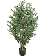 La pianta di olivo artificiale 120 cm UV è un alto olivo artificiale con tronchi multipli di legno e foglie verdi dense in un piccolo vaso nero.