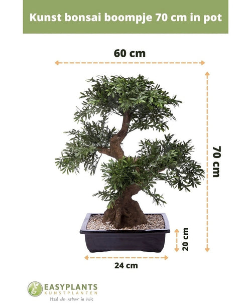 Bonsai artificiale da 70 cm in vaso, con pietre bianche e vaso decorativo (dimensioni: 70x60 cm, vaso 24x20 cm). Il testo e le frecce mostrano le dimensioni: ideali per un arredamento elegante.