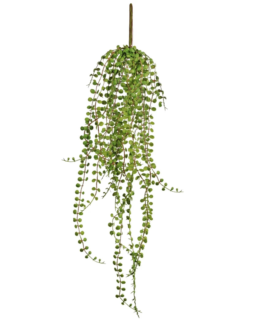 La pianta succulenta artificiale pensile da 71 cm ha lunghi steli verdi pendenti con foglie piccole e rotonde, perfetti da esporre su uno sfondo bianco.
