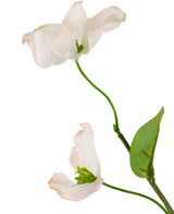 Un primo piano del corniolo artificiale Real Touch White/rosa da 74 cm mostra due delicati fiori di corniolo rosa chiaro e bianco con un centro verde su uno stelo sottile e un'unica foglia, su uno sfondo bianco.