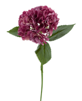 Il fiore artificiale Charlotte Hydrangea Real Touch viola 55 cm ha un unico stelo di un'ortensia viola con diversi piccoli petali e foglie verdi, su uno sfondo bianco semplice.