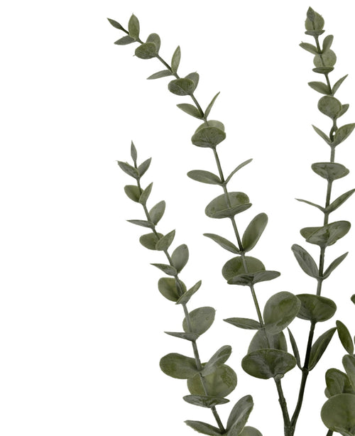 Tre steli di fiori artificiali di eucalipto Yugali (71 cm) con foglie verdi rotonde, disposti diagonalmente su uno sfondo bianco.