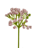 Un primo piano dell'erba artificiale Bonsai con fiori di porro e cipolla ignifuga da 61 cm: un unico stelo verde con mazzi di piccoli fiori artificiali rosa chiaro disposti in gruppi a forma di ombrello, su uno sfondo bianco.