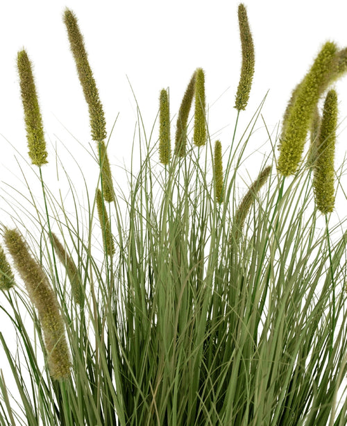 Il vaso per erba artificiale tifa cipolla ignifuga da 150 cm presenta erba artificiale verde alta con foglie lunghe e strette e soffici teste di semi cilindriche, raffigurate su uno sfondo bianco.