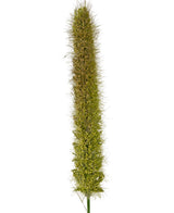 Un primo piano del vaso di erba artificiale con cipolla e tifa ignifugo da 150 cm mostra la testa del seme di coda di volpe verde verticale e realistica con piccole setole e semi densi su un semplice sfondo bianco.