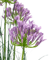 L'erba artificiale viola Agapanthus cipolla erba vaso 90 cm ignifugo ha un mazzo di fiori artificiali viola Agapanthus con steli verdi sottili e foglie sottili su uno sfondo bianco.