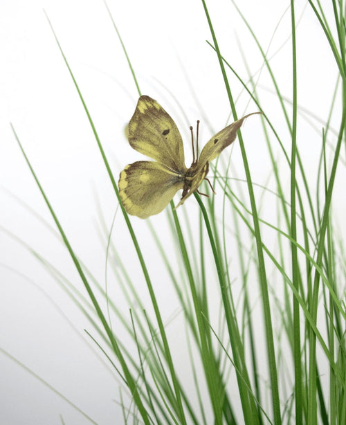 Il vaso per erba artificiale a forma di farfalla, cipolla, ignifugo da 90 cm presenta una farfalla gialla con segni marroni su sottili fili di erba artificiale verde, su uno sfondo bianco.