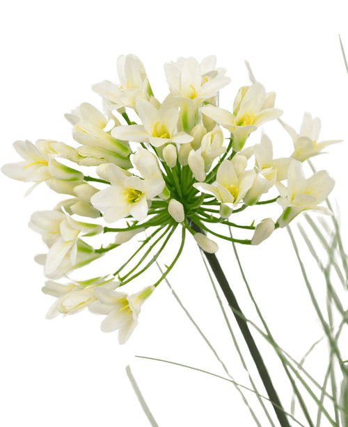 Un primo piano dell'erba artificiale bianca Agapanthus cipolla erba vaso ignifugo da 90 cm mostra delicati fiori bianchi con un centro giallo su lunghi steli verdi, circondati da foglie sottili, su un semplice sfondo bianco.