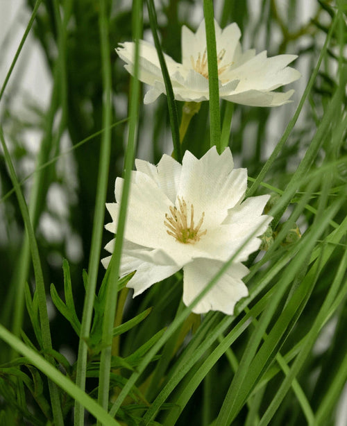Il vaso di erba artificiale a cipolla bianca Gesang Flower (56 cm, ignifugo) ha due fiori bianchi con petali seghettati e un cuore giallo, tra erba verde realistica e foglie per un effetto rigoglioso.