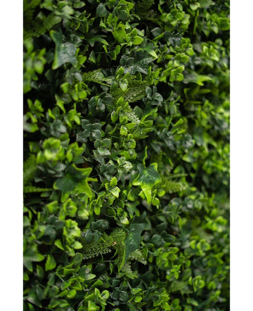 Primo piano di un fitto fogliame verde con piccole piante frondose e rampicanti, con il rigoglioso mix di tappetini per siepe artificiale 50x50 cm, perfetto per creare una vibrante parete verde verticale.