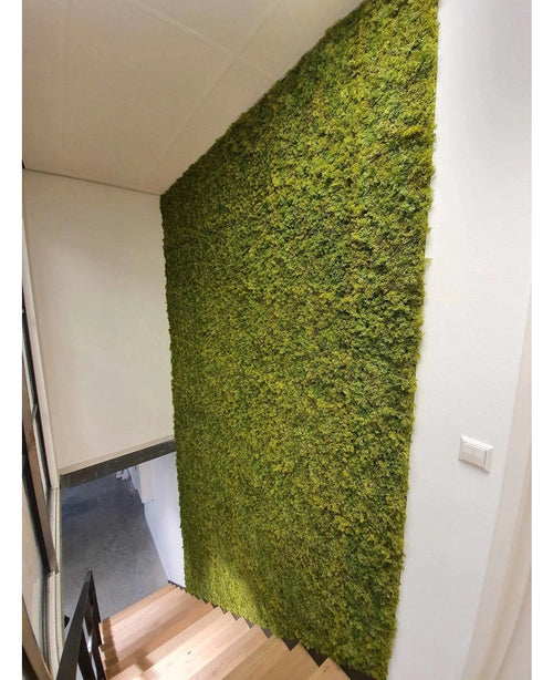 Una scala con gradini in legno corre lungo una parete verde rivestita con Siepe Artificiale Nordic Moss 50x50 cm UV, aggiungendo un elemento naturale e strutturato alle pareti bianche e agli interni moderni e minimalisti di lusso dello spazio.