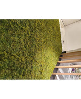 Un interno lussuoso con una parete verde verticale di Kunsthaag Nordic Moss 50x50 cm UV, lussureggiante accanto a una moderna trappola in legno. L'immagine angolata evidenzia il ricco testo del muschio e parte di una porta sopra.