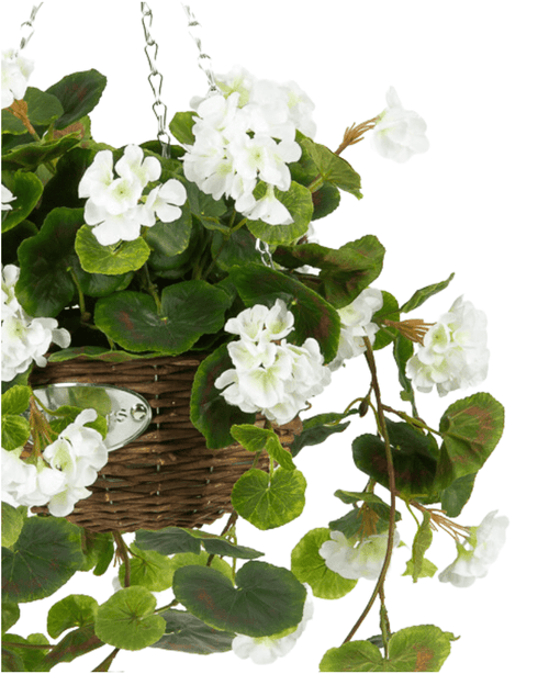 La Begonia bianca artificiale in cesto UV 70 cm ha foglie verdi lussureggianti e fiori bianchi in un cesto intrecciato sospeso, sospeso a una catena di metallo su uno sfondo bianco.