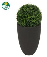 Pianta artificiale Bosso stile romano UV D30cm: una forma d'arte rotonda in un vaso alto nero, con protezione UV (simbolo in alto a sinistra).