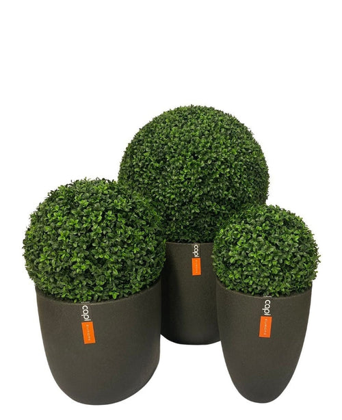 La pianta UV D40 cm in legno di bosso artificiale in stile romano presenta tre piante topiarie artificiali rotonde con fogliame verde denso in vasi cilindrici neri opachi, ciascuno decorato con una piccola etichetta arancione. Mostrato su uno sfondo bianco.