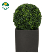 La pianta artificiale in legno di bosso stile romano UV D40 cm è una forma d'arte rotonda con fitte foglie verdi in un vaso quadrato nero. Nell'angolo in alto a sinistra c'è un simbolo di protezione UV con un sole e il testo "UV".