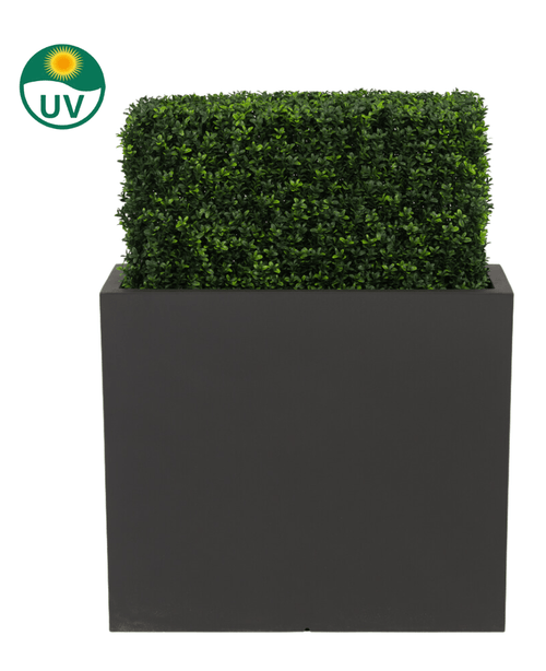 La siepe di bosso artificiale UV 70x20x50 cm è una siepe rettangolare in plastica verde protetta dai raggi UV in un vaso alto nero, raffigurata su uno sfondo bianco con un'icona UV che ne sottolinea la resistenza al sole.