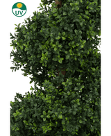 La spirale di bosso artificiale in stile romano UV 120 cm ha un fogliame verde artificiale denso e lussureggiante con foglie piccole e un simbolo di resistenza ai raggi UV con un'icona del sole nell'angolo in alto a sinistra.