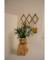La Pianta Artificiale Dracaena Reflexa in vaso UV 63 cm decora una stanza minimalista con pareti bianche, posizionata su uno sgabello in legno naturale. Una mensola a muro in legno sul retro contiene una piccola borsa marrone e tessuti color crema per un interno tropicale.