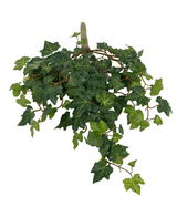 L'edera artificiale Deluxe verde da 40 cm ha foglie verdi lussureggianti e rampicanti sinuosi su uno sfondo bianco.