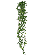 La pianta artificiale pensile Ivy deluxe 180 cm verde ha un lungo filo di edera verde con tante piccole foglie appuntite che cadono verso il basso, perfette come decorazione su uno sfondo bianco.
