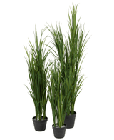 Quattro piante artificiali di erba artificiale verde UV da 150 cm, ciascuna in un vaso nero, hanno foglie verdi erette alte e sottili e sono vicine tra loro su uno sfondo bianco.