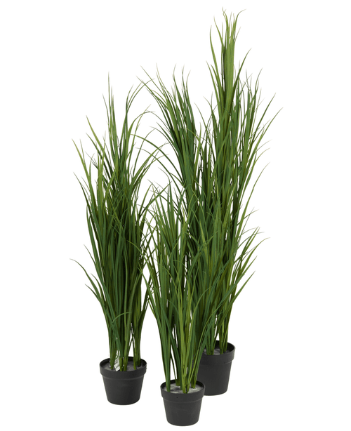 Quattro piante artificiali di erba artificiale verde UV da 150 cm, ciascuna in un vaso nero, hanno foglie verdi erette alte e sottili e sono vicine tra loro su uno sfondo bianco.